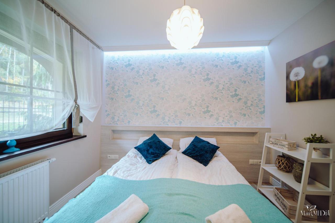 Dolina Wikingow Apartament Heddal 02 Шклярська Поремба Екстер'єр фото